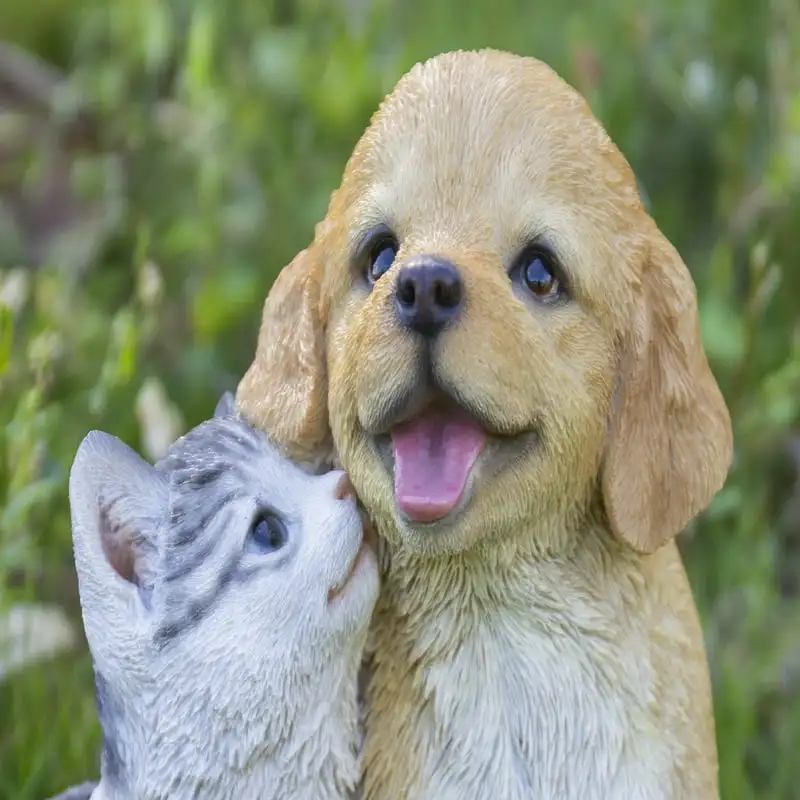 

RETRIEVER & KITTEN
