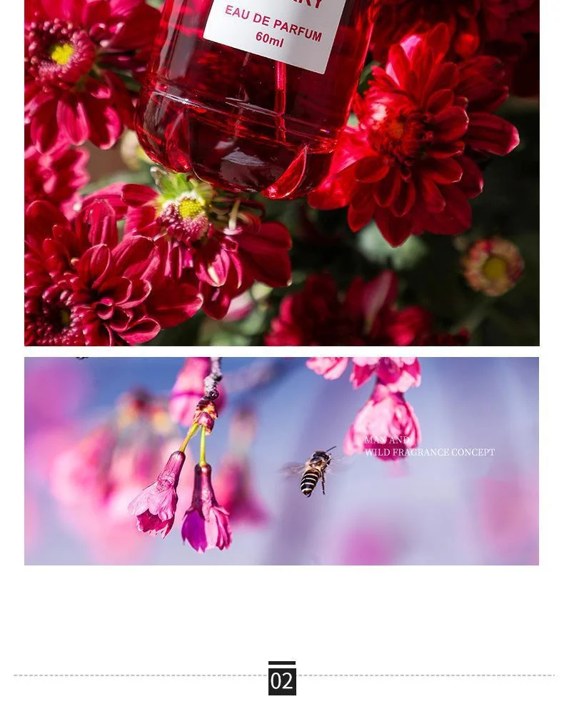 New Perfume Cherry Blossom, Snow Moon, Lost Cherry Blossom, Sweet Cherry Blossom, Small Crowd, Affordable, Durable Eau De Toilette 60ml_voghion.com