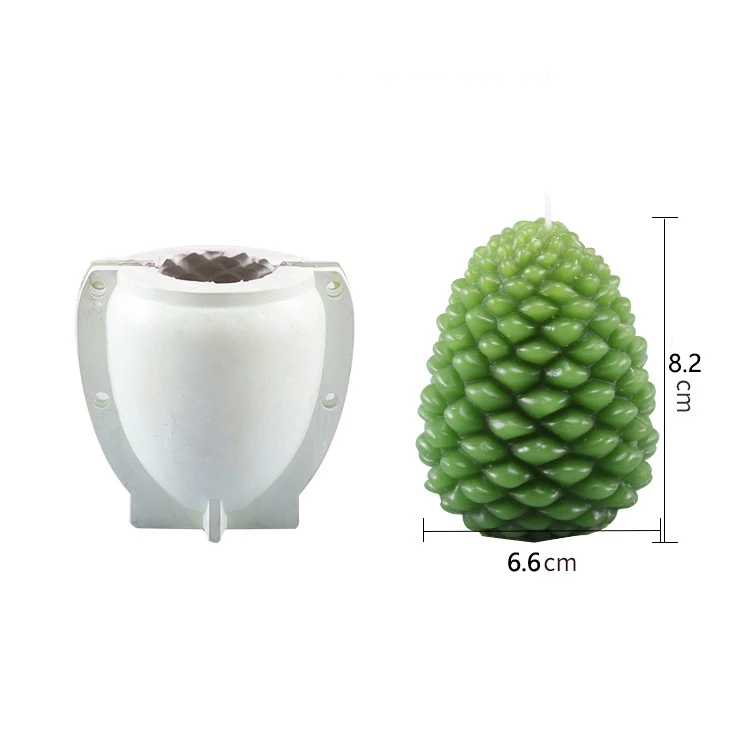 Pine cone B