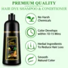 Shampoo 3 in 1 Organic Natural Hair Dye Ginseng Extract Black Hair Color Шампунь Для Волос for Cover Gray White Hair 500ML 2