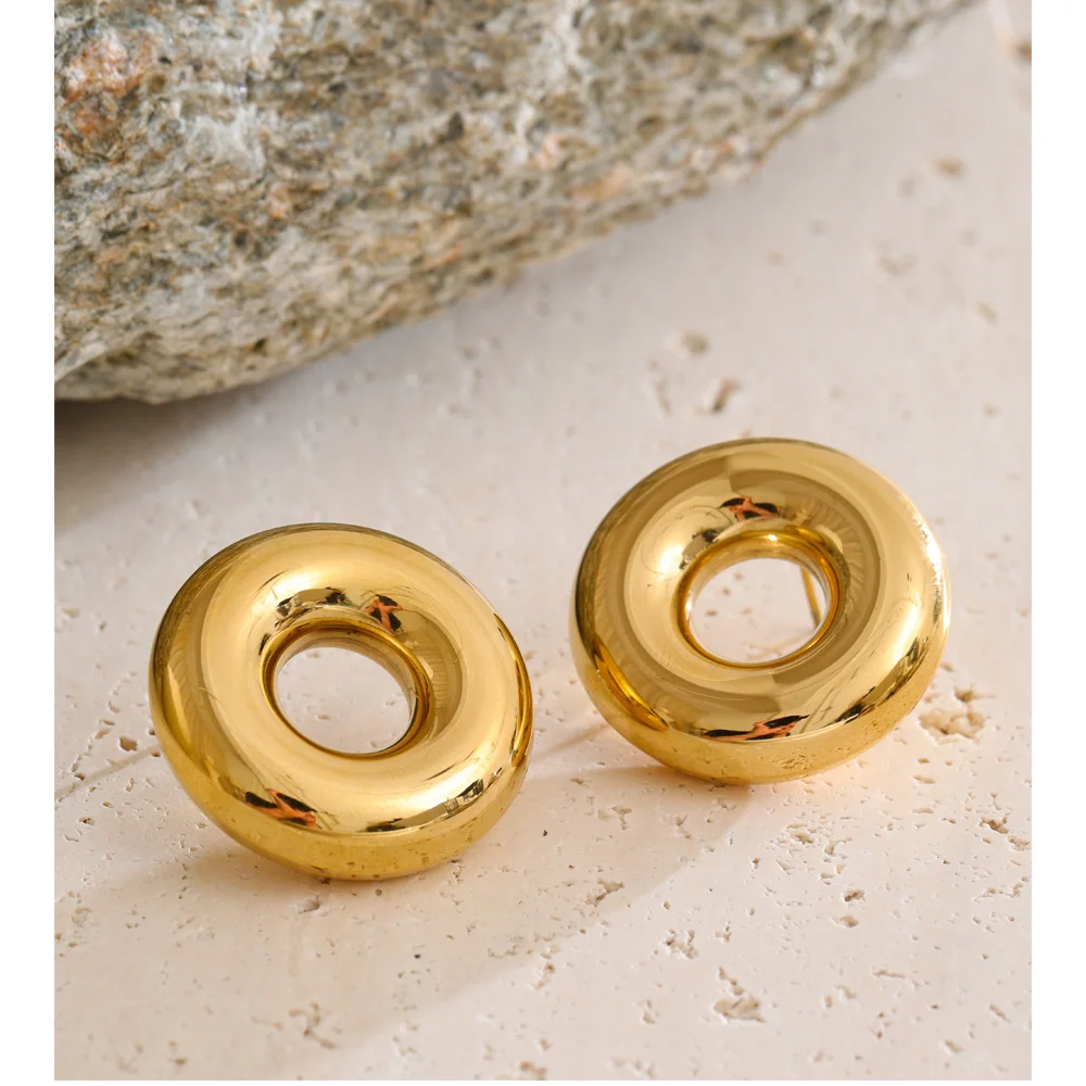 Stainless Steel Earrings Waterproof