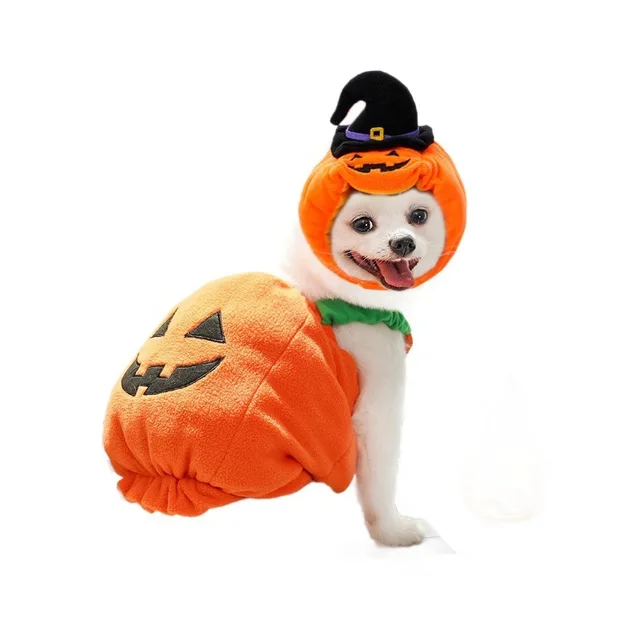 Halloween Costume 5