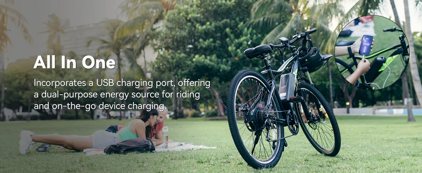 heybike racemax electric bike