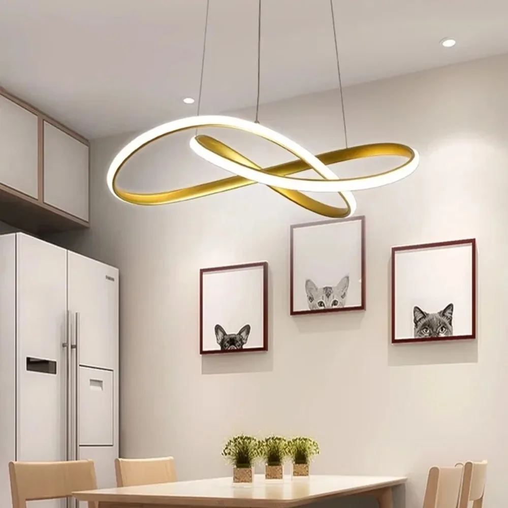 Joyinled Modern Acryl Pendant Light 50cm Gold Ceiling Pendant Light with Dimmer Hanging Lamp Home Decor Indoor Lighting Fixture