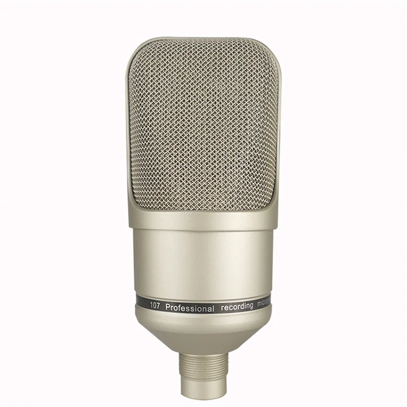 Metal Professional Condenser Microphone Large Diaphragm Studio Microphone For Computer Gaming Recording Singing Podcast YouTube