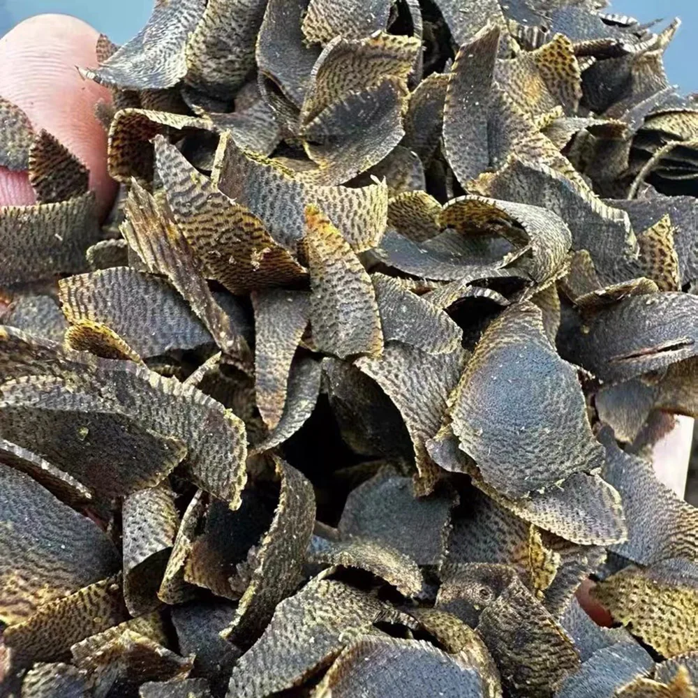 شرائح بخور كينام صينية أصلية 500 جرام للبيع بالجملة زيت عالي الراتنج 100% طبيعي بدون زيت نقع ولا زيت مضغوط