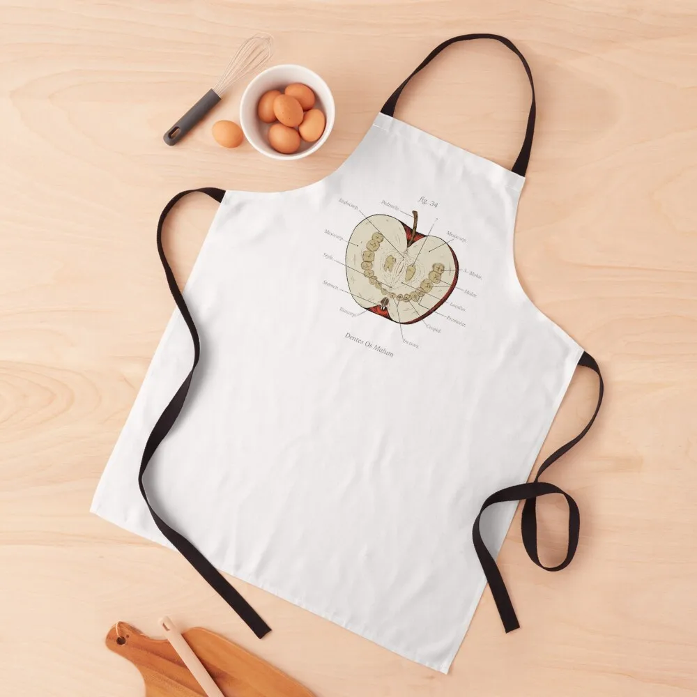 

The Magnus Archives - Anatomy Class - Teeth Apple Apron Manicurist Aprons Kitchen Apron For Men Things For Kitchen