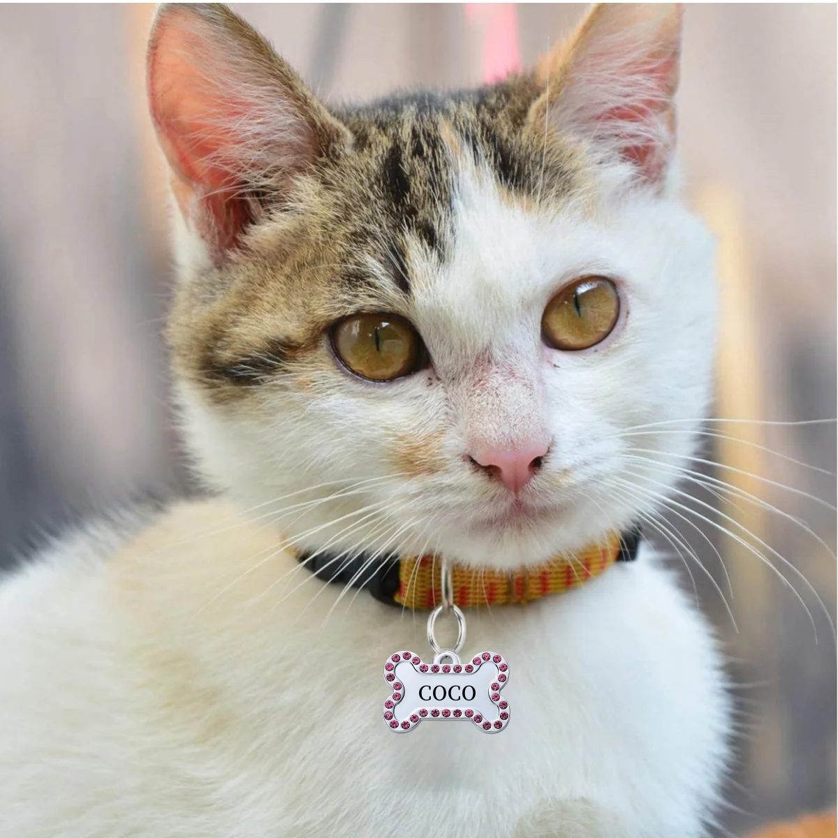Pet id tags Customizable Engraved Pets ID for Dog Cat Bronze Nameplate Tags Personalized Number Dogs Collar ID Pendant