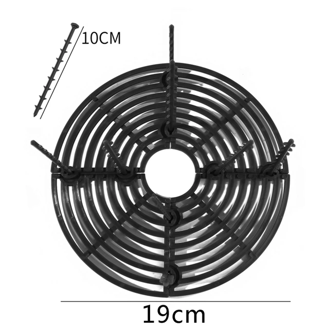 19cm