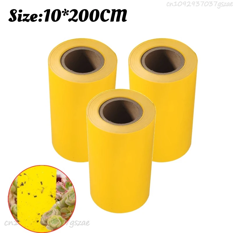 3Rolls (6M)