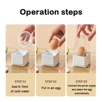 DMWD Mini Electric Egg Steamer Multifunctional Food Steamer Double Layer Bun Corn Milk Steamed Cooking Machine Breakfast Maker 2