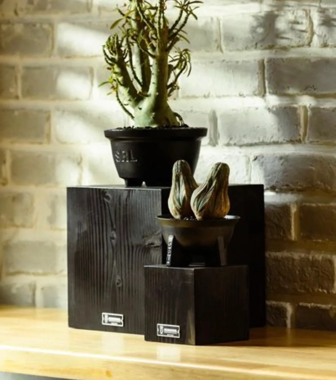 鉢・プランター SRL SQUARE SMALL CE-POT NEIGHBORHOOD NEIGHBORHOOD SRL . SQUARE SMALL / CE-POT ネイバーフッド
