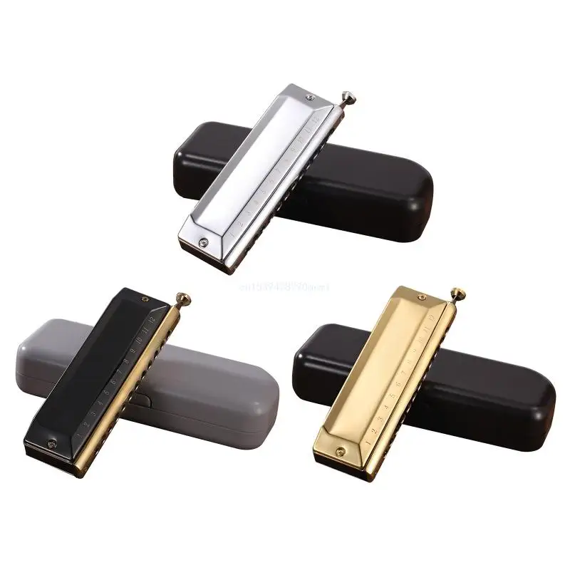 

Blues Harmonica in C, 12 Holes Blues Harp Diatonic Harmonica 48 Tones Mouth Organ Harmonica in C For Adults, Beginners