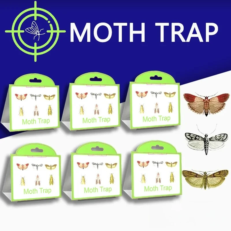 Moths Traps Pantry Clothes Kitchen Food Home Garden Pest Control Moth Traps Pheromone Moths Sticker Moths Trap