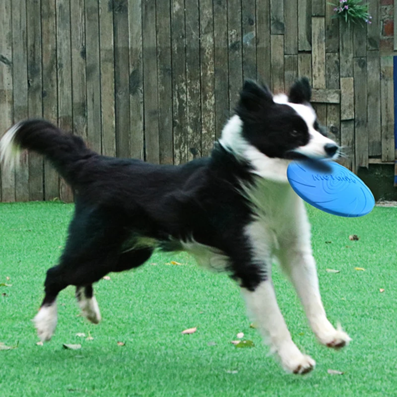 TPR Big Dog Training Toy Flying Discs Disk Interactive Pet Toys for Small Large Dogs Border Collie Labrador mascotas Accessories 6