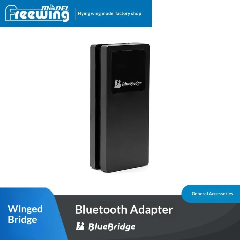 Détail du récepteur RC BlueBridge Lite 2.4GHz, composant électronique pour modèles réduits.