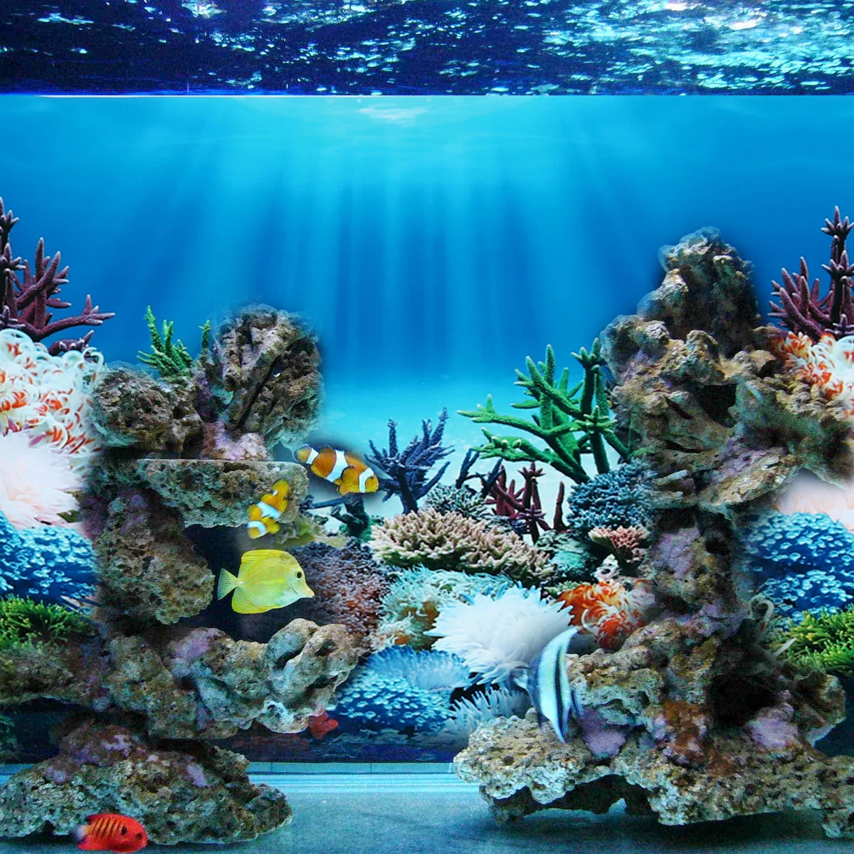 Aquarium Background Sticker Double Side Seascape Wallpaper Tank Backdrop Water Underwater Decoration Static Cling Vinyl fish tank decorations,aquarium ornaments,fish tank backdrop,aquarium sticker