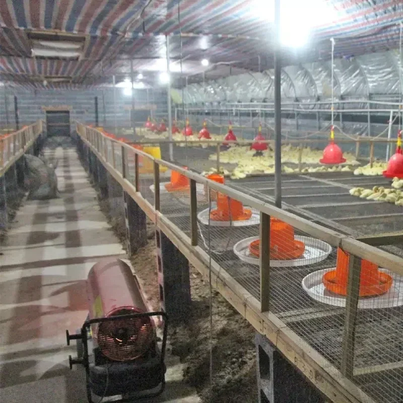 Cheap Industrial Powerful Kerosene Diesel Oil Fired Air Heater for Poultry Farm and Greenhouse 4