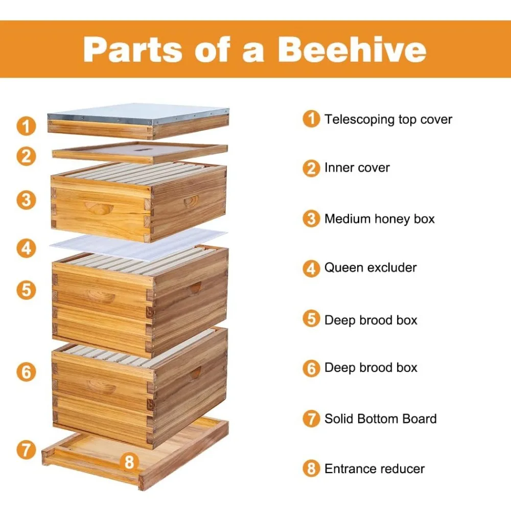 8 Frame Bee Hive Beeswax Coated Complete Beehive Kit Include Frames and Foundation Sheet Unassembled 2 Deep&1 Medium Bee Boxes