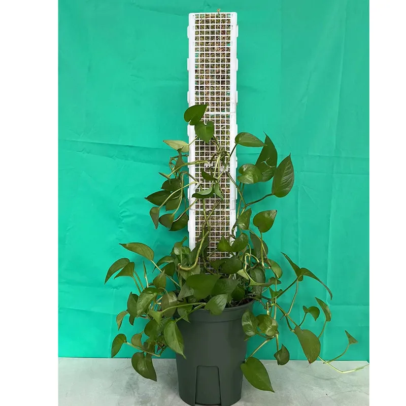 Plant Climbing Frame Plant Trellis Supporting Stick Plastic