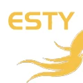 Esty hair Store