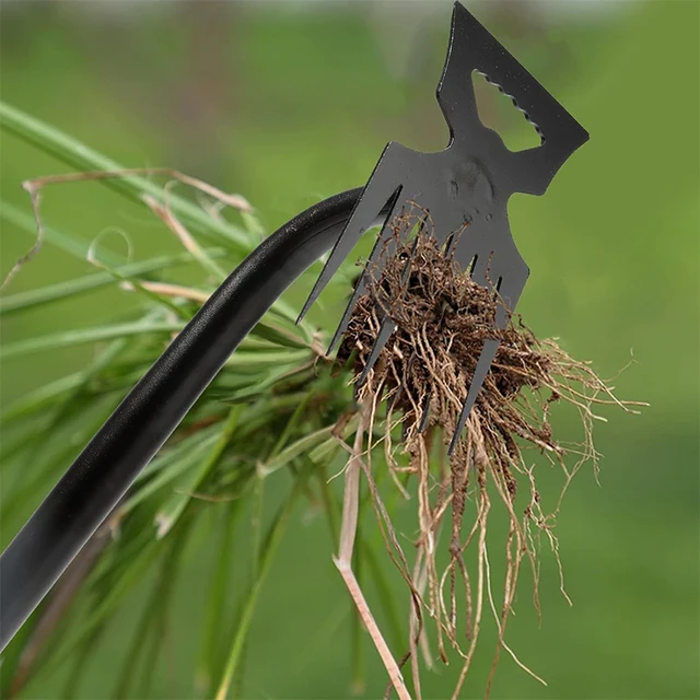 5/6/8/11 Teeth Carbon Steel Garden Hand Rake,2 In 1 Agricultural Manual Weeding Tools for Yard,Multifunction Gardening Hoe Rake 3