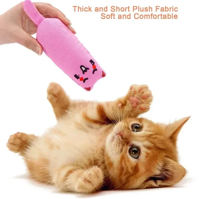 1PC Cat Chew Pillow - Teething Anti-Bite Scratcher with Catnip, Anxiety Relief Toy for Boredom & Stress, Thumb Guard for Kittens 6
