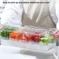 New 5 Compartments Ice Party Platter Large Capacity Transparent Ice Serving Tray Convenient Durable Bar Seasoning Box 2