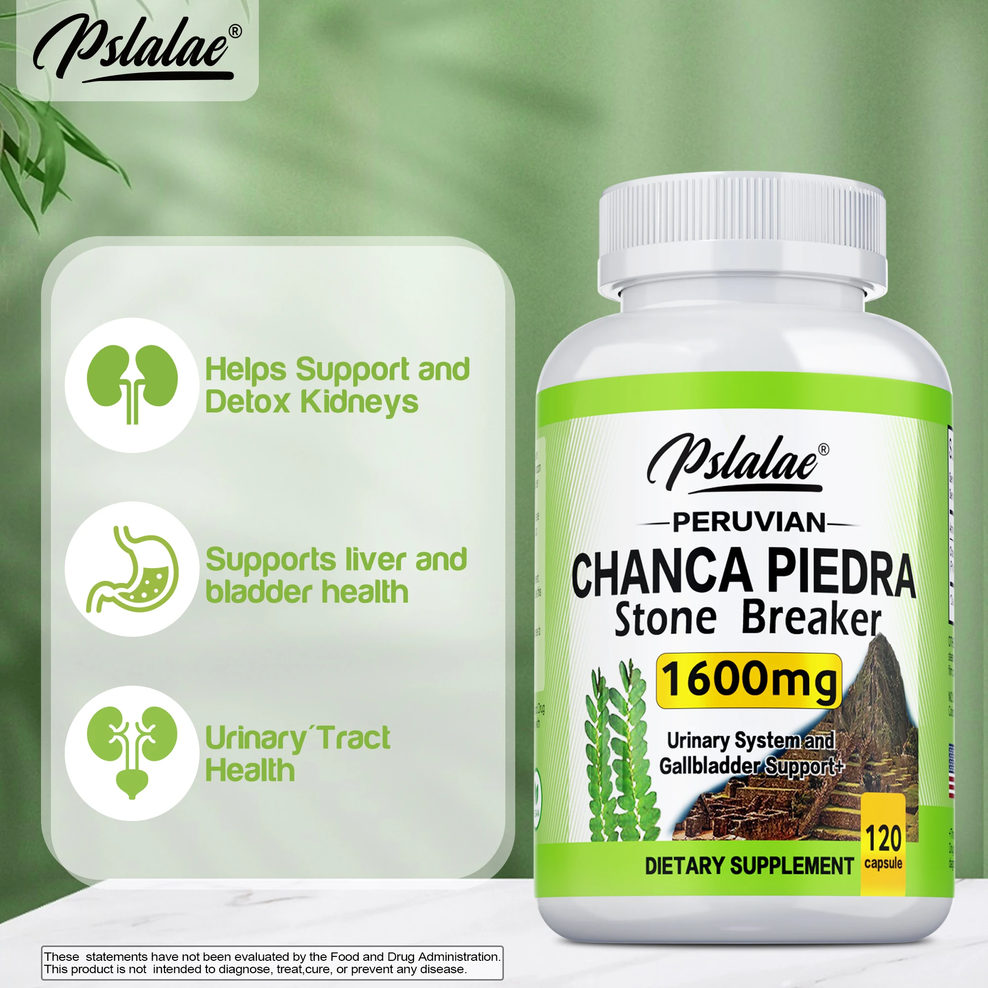 Chanca Piedra 1600mg for Kidney & Bladder Health kidney bladder cleanse