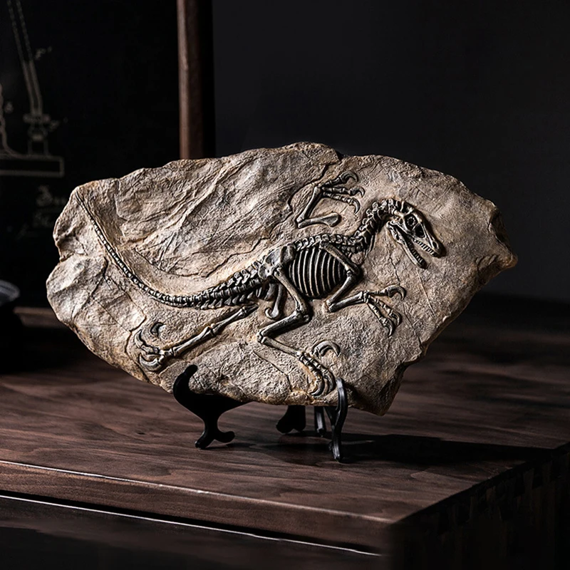 

American Dinosaur Fossil Study Home Living Room Porch Decoration Artifact Window Props Decoration Statues for Decoration