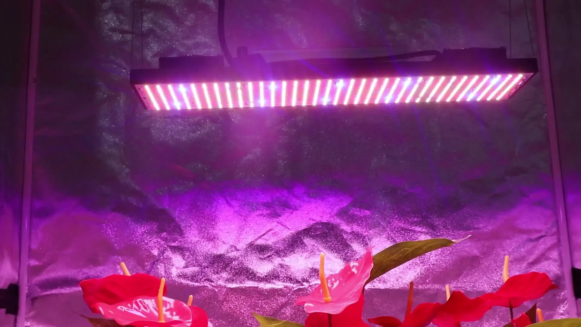 Boost Your Plant Growth With Lm301H Led Grow Light - Full Spectrum 240W For  Indoor Gardens!