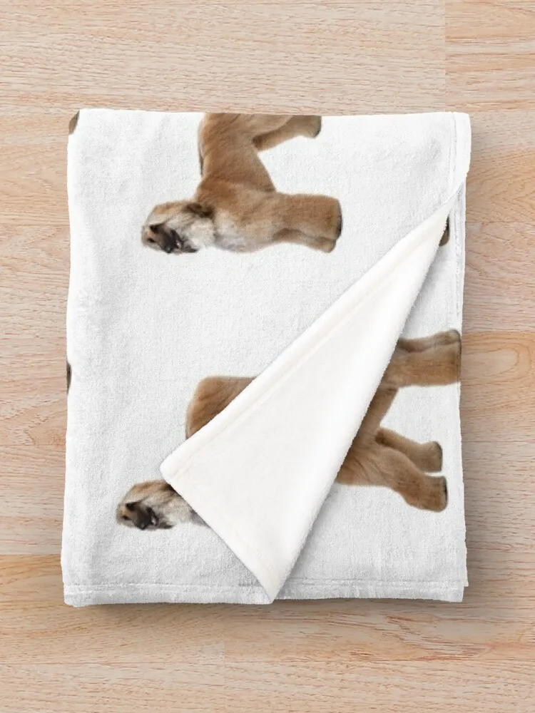 ������ �Ͽ�� ���ο� ���, ǫ���� ǫ���� �ε巯�� ǫ���� �Ƹ��ٿ� ���