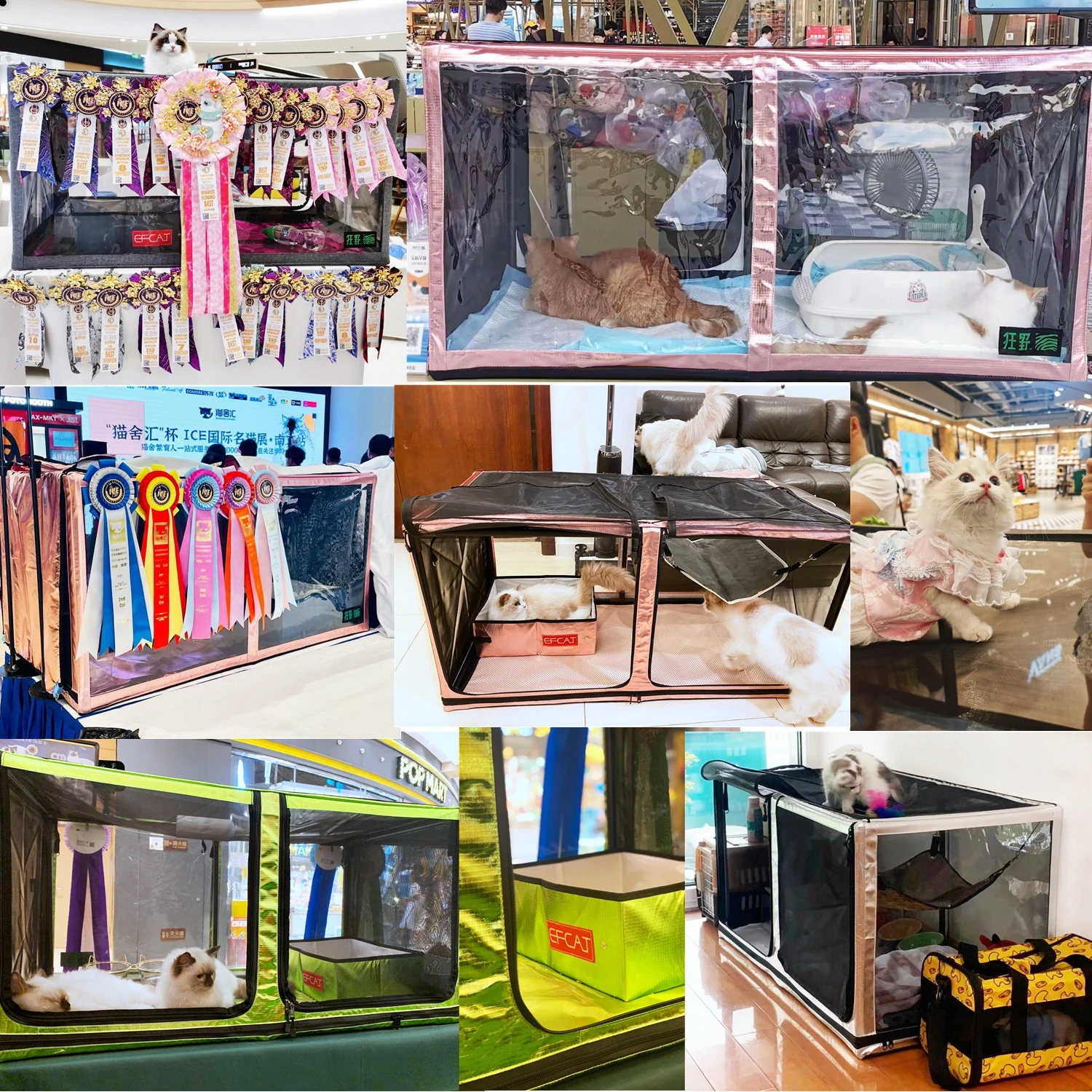 EFCAT Transparent 3D Display Cat Show Cage Set Include Cat Hammock Folding Litter Box for Exhibition cat cage