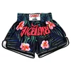 Muay Thai  Shorts Beach Pants Sanda Fighting Professional Training Boxing Children Fighting Customization 2