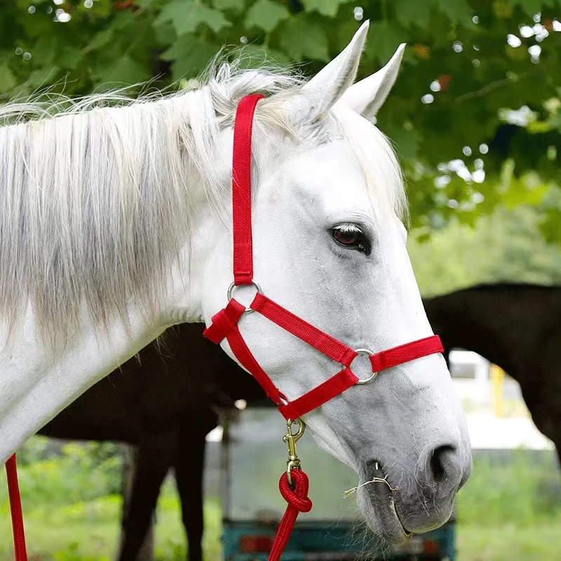 Horse Halter Reins A Bridle to Prevent Chafing Wear Resistant Webbing Halter Equestrian Equipment Horse Equipment 3
