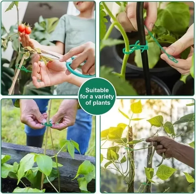 Adjustable Plastic Plant Cable Ties Reusable Self-locking Ties Garden Plant Vine Supports Cable Ties Stem Tomato Clip Fastener 6