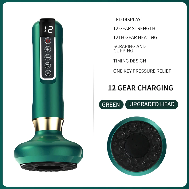 DS-A12 green