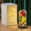 Beauty and the Beast Eternal Rose with LED Lights – Artificial Silk Rose in Glass Dome 5
