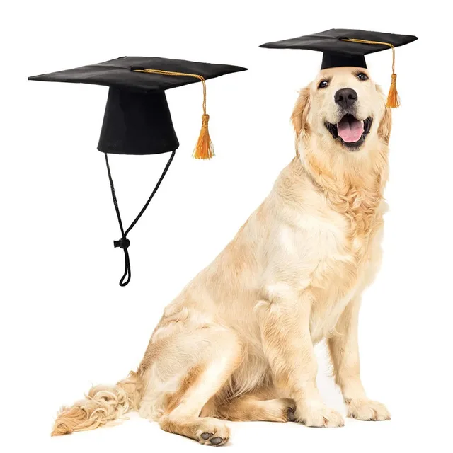 Buy Dog Graduation Cap & Gown Therapy Dog Graduation Cap Graduation Gown  Online in India - Etsy