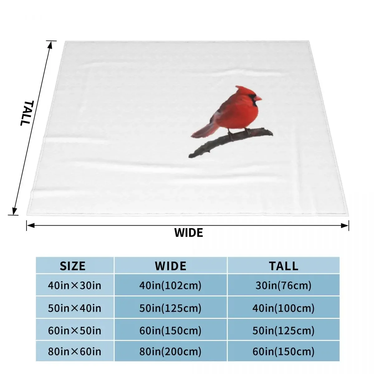 ������ �߱�� ������ ���, ķ�� ������ �ܿ� ���