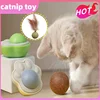 Cat Mint Ball Catnip Wall Balls Toys for Cats Gatera Grass Cat Snack Clean Mouth Tooth Cleaning Toys Supplies Cats Accessories