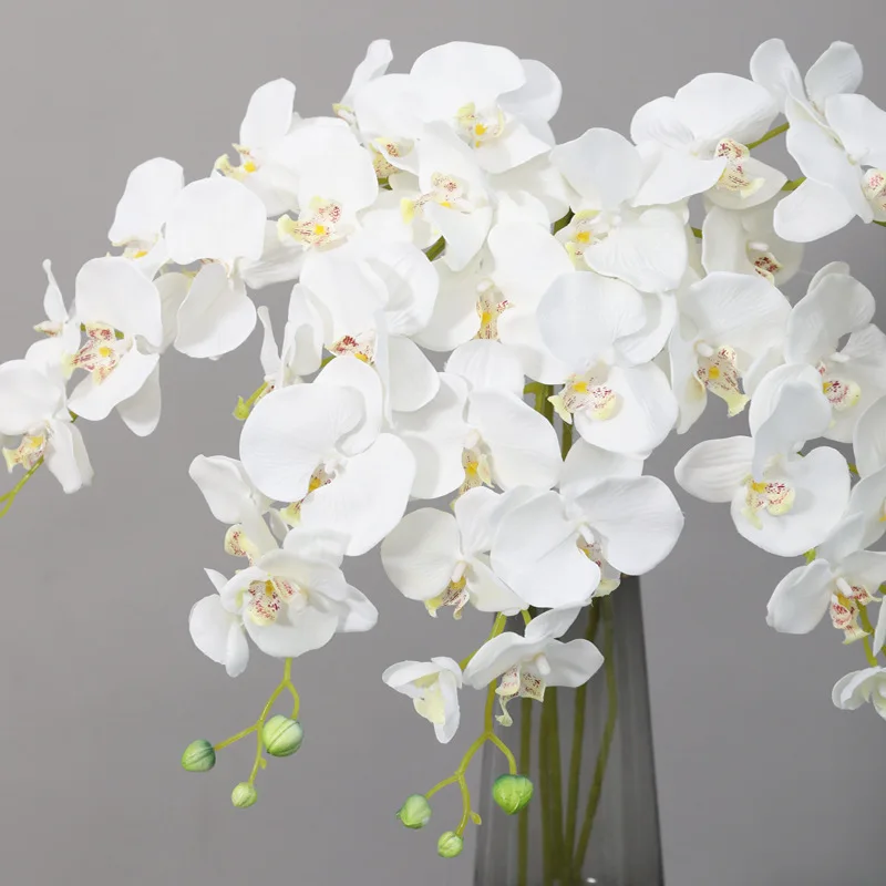 

Wholesale Phalaenopsis Wedding Silk Orchid Home Decorations Decorative Artificial Flowers