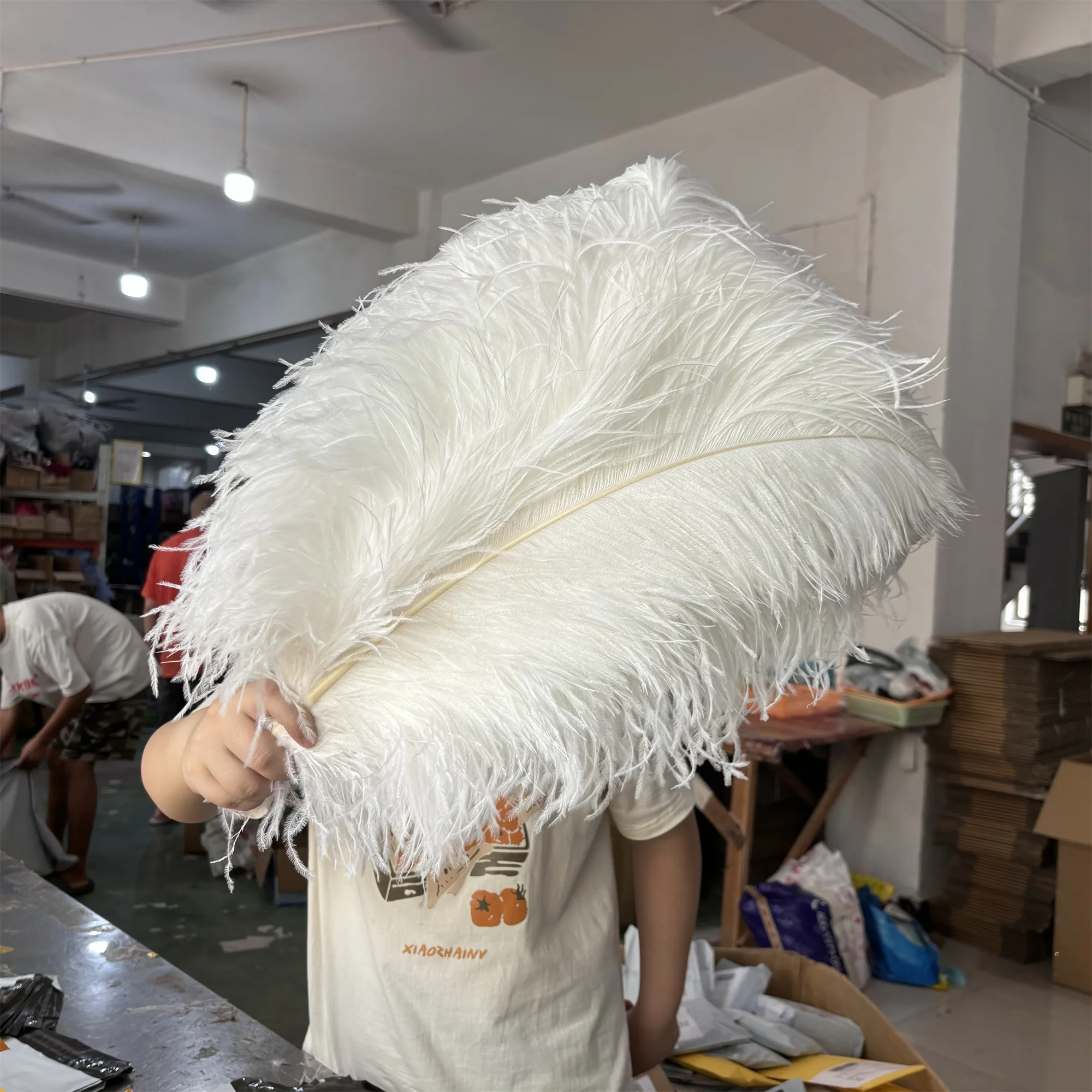 10/50/100/200 PCS Natural Ostrich Feather 15-75cm/6 to 30inches Ostrich Plumage Wedding Centerpiece Clothing Plumes Decor