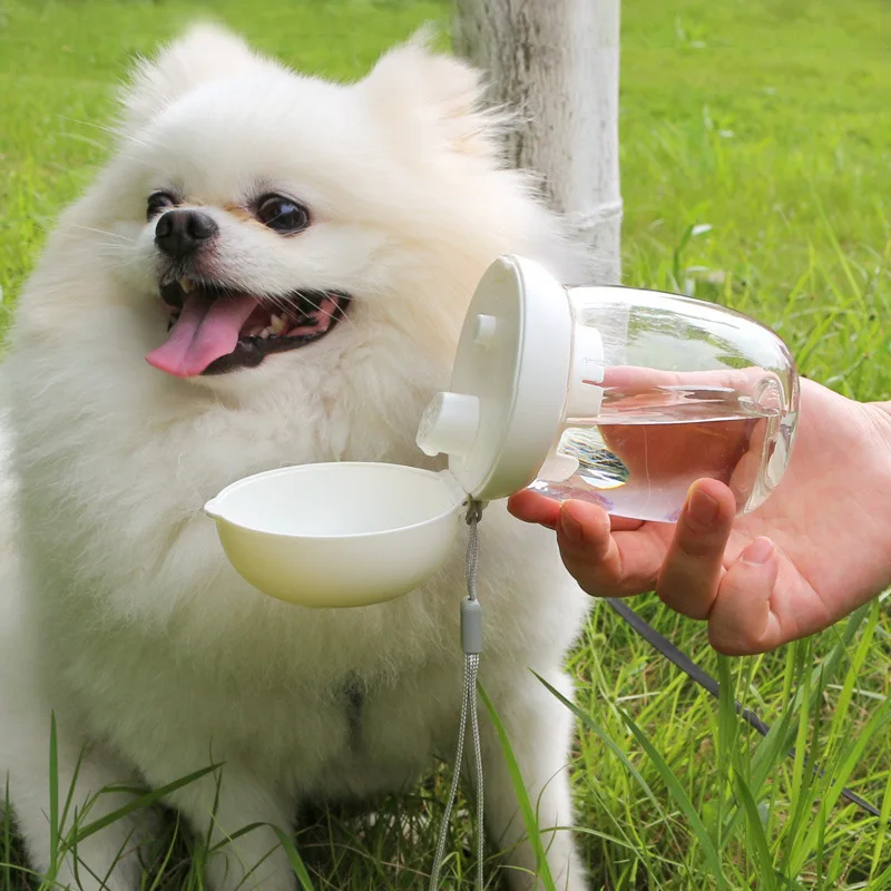 

One key cute plastic Pet Cat Dog Outdoor Water Cup Light Cup for Chihuahua Small Dog Pet Dog Folding Portable Drinking Water Cup