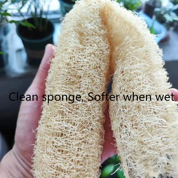 1 pz sano naturale luffa spugna Scrubber per la cucina bagno doccia lavaggio corpo pentola ciotola spugna Scrubber Spa bagno fare saponi 1
