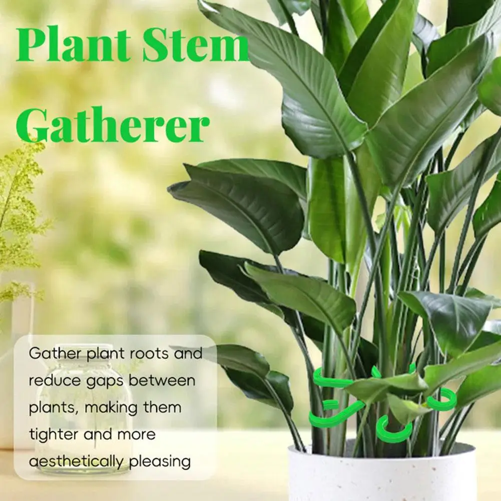 Plant Stem Support Alocasia Monstera Leaf Support Vine Clips For Climbing Plants To Grow Upright And Make Healthier plant stem support