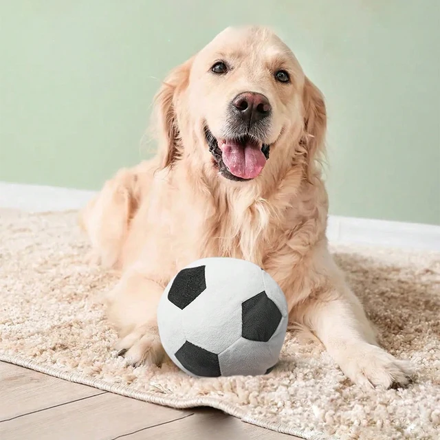1 football Random Color pet plush toy for dogs and cats to interact and play 4