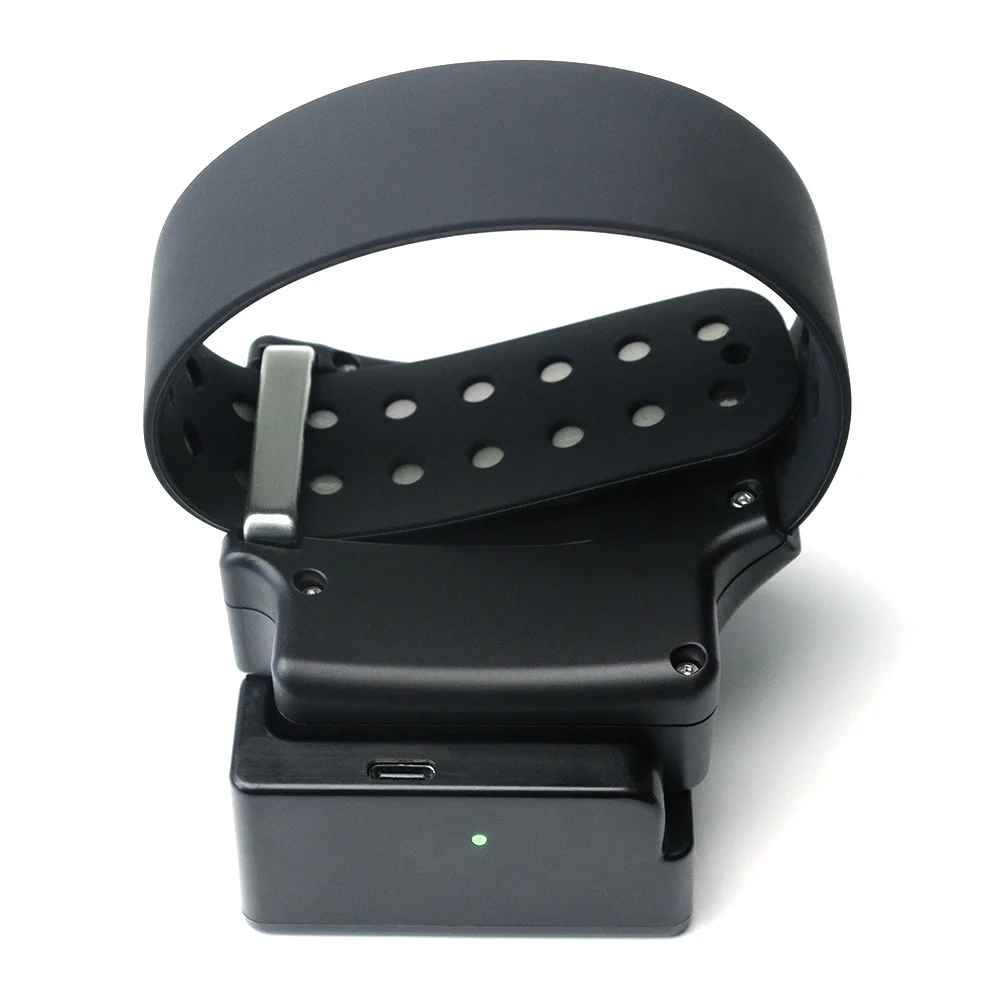 GPS Ankle Bracelet House Arrest Offender Tracking GPS Tracker Bracelet -  China GPS Tracking Bracelet Elderly, Personal GPS Watch | Made-in-China.com