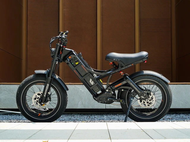 STLF Eahora Romeo Pro Custom Power 200w 100ow 300ow 2*120n-M E Bike 52v 60ah Long Range Electric Bicycle Cargo Electric Bike 4 STLF Eahora Romeo Pro Custom Power 200w 100ow 300ow 2*120n-M E Bike 52v 60ah Long Range Electric Bicycle Cargo Electric Bike 4