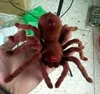 [Funny] Prank trick toy Infrared remote control flash spider animal toy Electronic pets RC simulation luminous tarantula model 5